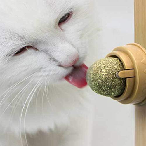 STOBOK Bola de parede de nipa giratória de nipa de gato, 1 peça criativa comestível doce lanche boli