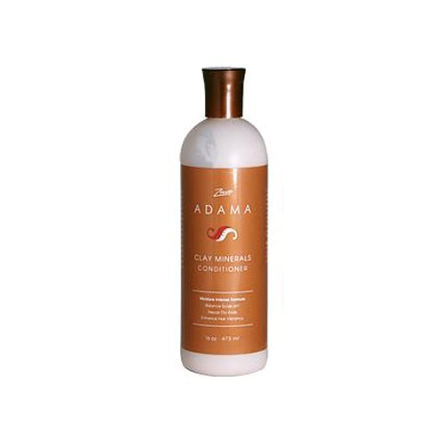 Amazon.com : Zion Health Cond Adama Clay Minerals 16 Fz2