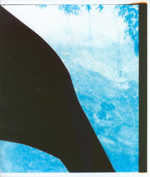 Constructed Landscapes Addendum album photo conceptuel architecture et paysage urbain