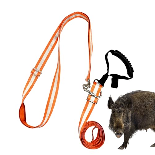 Mqyra n[lX,IW AEghA  | p  [v ˃XgCvt - AEghA Lv s rꂽ n` r p