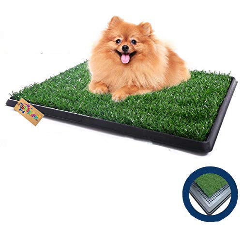 Western Era Dog Cat Pet Potty Trainer Grass Mat Dog Puppy Training Pee Patch Pad Indoor Outdoor (1 Set of 3 Pieces) (B08KZPJSHR) Amazon Price History, Amazon Price Tracker