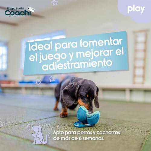 Juguete Coachi Puppy & Mini Chase & Treat, jugar y perseguir, entrenamiento de agilidad y a distancia, interacción, adiestramiento a distancia con recompensas y recuperación. Perros y cachorros - imagen 2