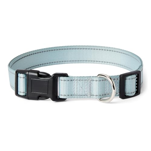 Amazon Basics - Collare per Cani, Taglia XL, Ciano