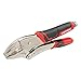 CRAFTSMAN Locking Pliers, Curved Jaw, 10WR, 10-Inch (CMHT81726)