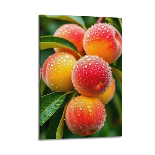 Poster de fruits de haute qualité avec de belles pêches de 50 x 75 cm