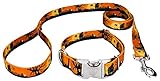 Country Brook Petz - All Hallow's Eve Premium Dog Collar & Leash Limited Edition - Small