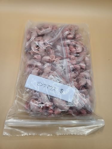 yx镨YEN[֔zsN}EX STCY / 100C