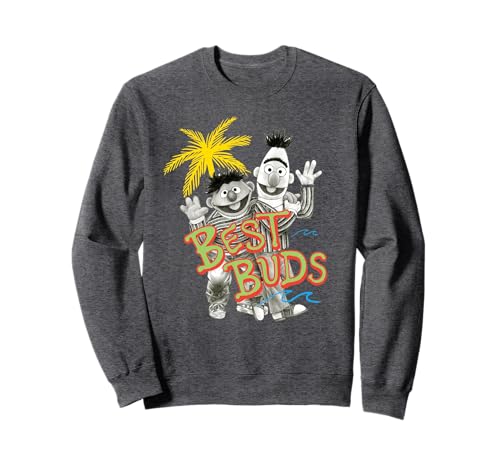 Sesame Street Bert and Ernie Best Buds Sweatshirt