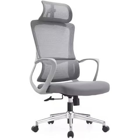 Paramexview® HG Office Desk Chair with Headrest | Big and Tall Office Chair with Tow Dynamic Lombar Support | One Head Support & 3D Adjustable Chair Technology | Swivel and Lift Chair (Gray) Cover