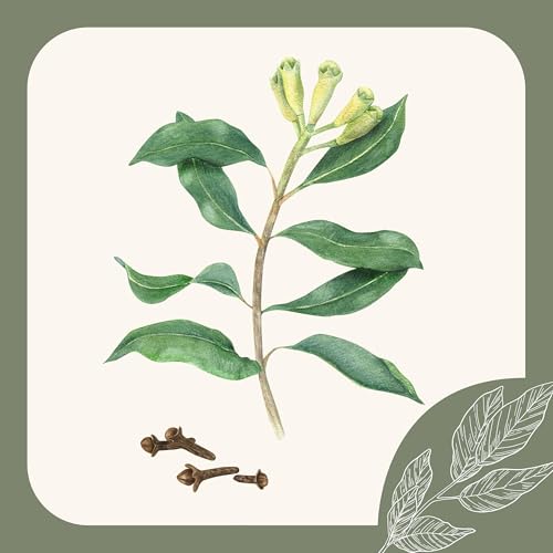 Herb Notes: The Benefits of Clove