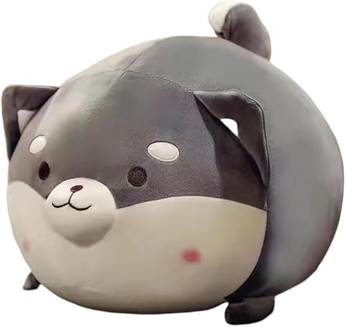 Rutexcʂ Č \tgŃAȌ̂ʂ @\w\t@NbV yMtg NX}Xv[g SĂ߂