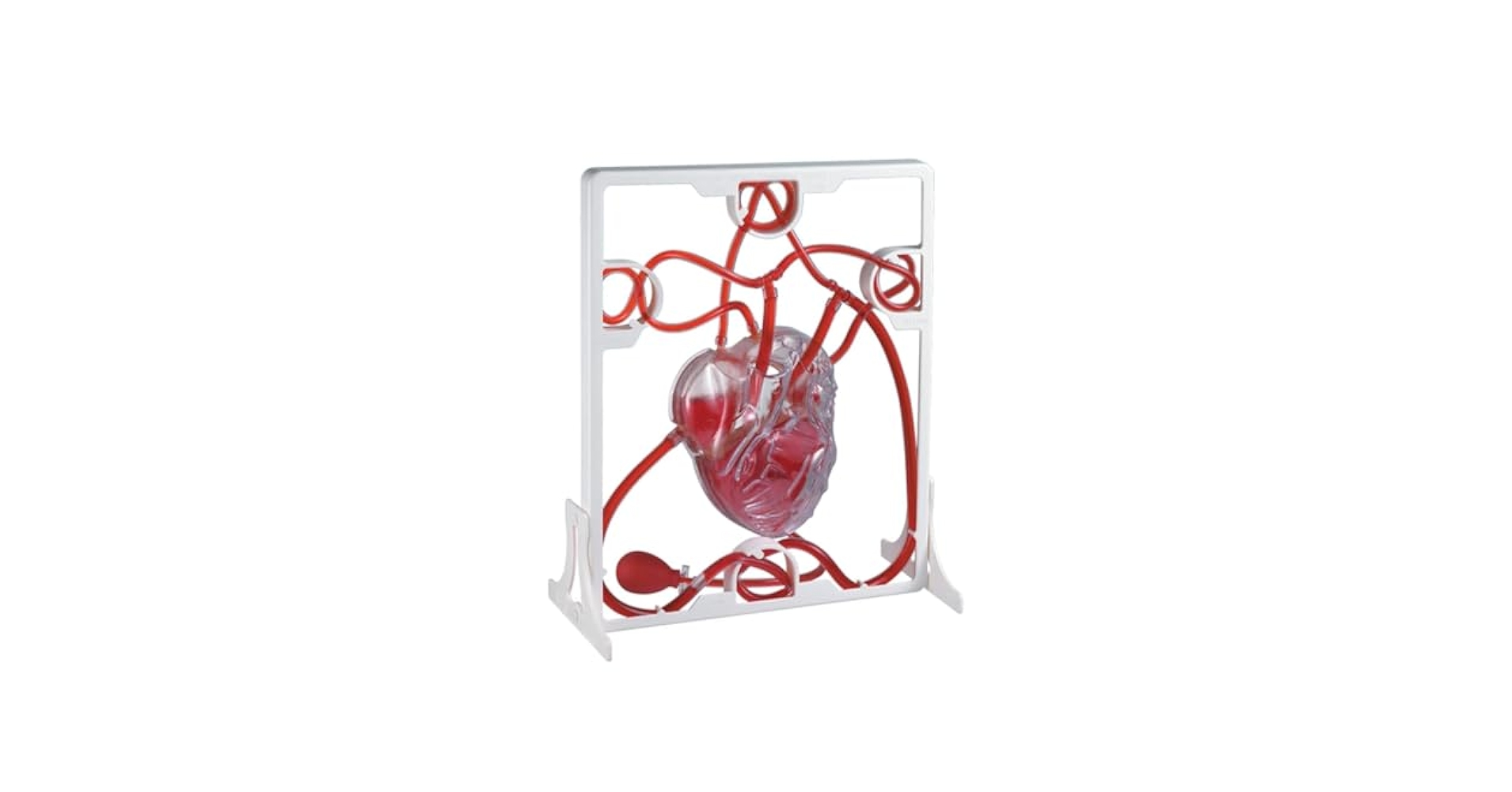 41yjWys4PBL.jpg_BO30,255,255,