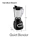Hamilton Beach Wave Action Blender for Smoothies, Stainless Steel Ice Sabre Blades, 40oz Glass Jar, 800 Watts, Quiet Design, Black (58175)