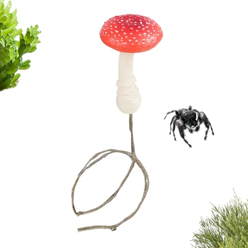 WsOXpC_[  ANZT[ - }Olbg I[ig,Ύ nGgO fR[V | ঒ hJ  ȃybg p