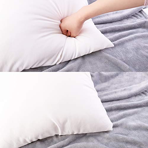 18 x 18 Inch Pillow Inserts (Set of 2), HIPPIH Decorative Throw Pillow Inserts, Hypoallergenic Square Pillow Form Insert, Upgraded