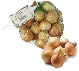 Cebolla francesa - 500 g