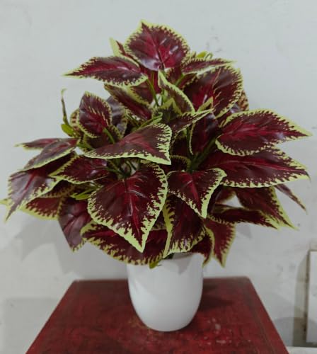 Image of Natural Looking Artificial Money Plant /Tree with Pot | Ornamental Plant for Interior Decor | Home /Shop /Office Decor (Maroon)