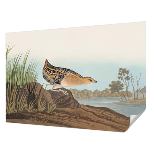 Revêtement mural autocollant Tulup : reconnectez votre décoration intérieure avec la nature