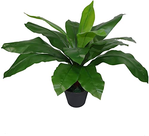 Leaf Planta de Helecho Artificial para pájaros (50 cm), Color Negro