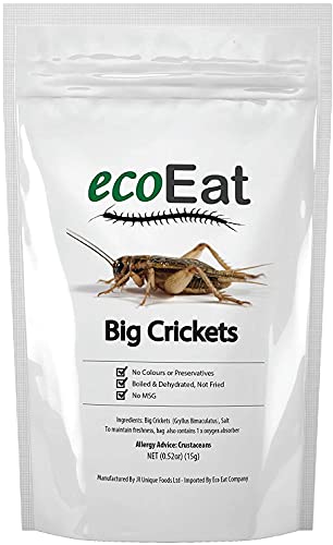 ecoEat Edible Insects Big Black Crickets to Eat â€“ Edible Bugs Edible Dehydrated Crickets - Snack Food Gifts (15g)