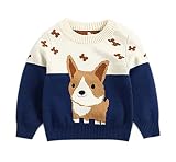 Baby Toddler Boys Girls Sweater Kids Knit Pullover Sweatshirt Animals Long Sleeve Tops Spring Winter