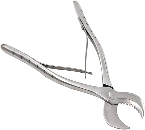 Miniatura 3 de Alicates dentales Alicates de yeso Cortador Equipo de laboratorio dentista Acero inoxidable Yeso Tijeras Material Pequeño