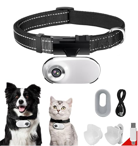ehomful HD 1080P Cat Camera Collare con Registrazione Video, Mini Macchina Fotografica Wireless Sportiva, Piccole Telecamere di Azione, Corpo Camera per Pet Supplies, Articoli per