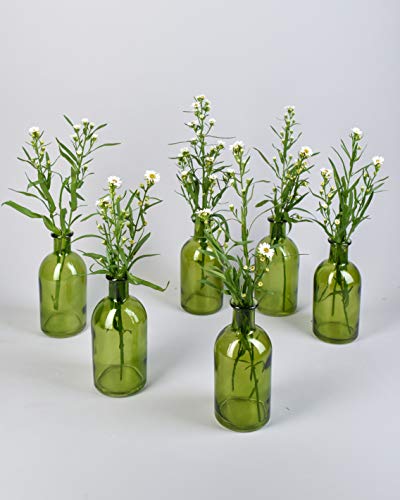 Serene Spaces Living Bud Vases, Apothecary Jars, Decorative Glass Bottles, Centerpiece For Wedding Reception, Mini Flower Vases, Small Medicine Bottles For Home Decor (Dark Green, Set Of 6) #TOP2