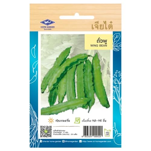 Graines de Haricot Ailé – WING BEAN – Haricot quadrialé Tropical quatre ailes – 25 graines – CHIA TAI (Home Garden) – Import Thaïlande – Légume rare