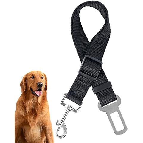 Ceinture de sécurité chien Redamancy Cover