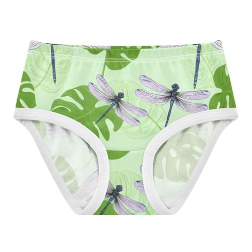 Toddler Underwear Floral 2t Cotton Girl Panties Cute Fun Briefs Undies Kids Dragonflies Green Leaves Floral