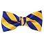 Royal Blue and Golden Yellow
