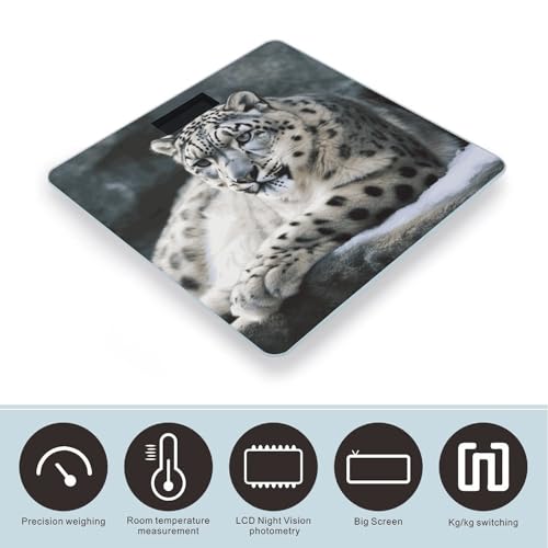 Báscula Digital Snow Leopard de Vidrio Templado para Baño miniatura 3