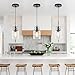 hansang 3 Pack Pendant Lights for Kitchen Island, Modern Black Hanging Light Fixture, 47Inches Island Lights, Adjustable Rope, Farmhouse Clear Glass, E26 Base, Bulbs Not Included