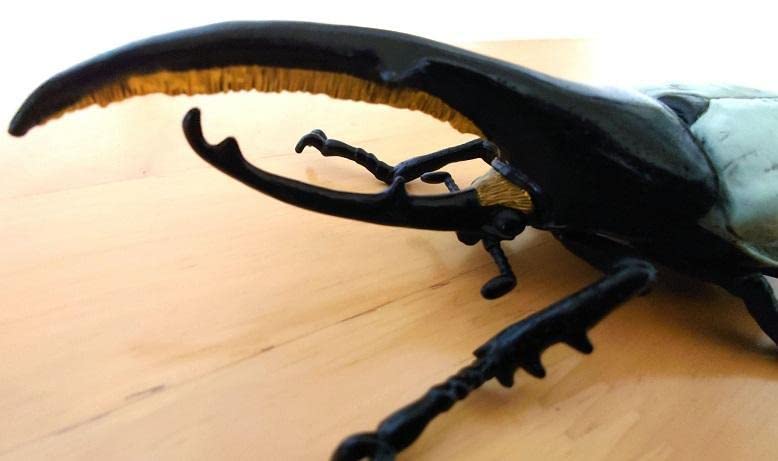 Amazon | ヘラクレスリッキーブルー ムシキング 大きい 昆虫