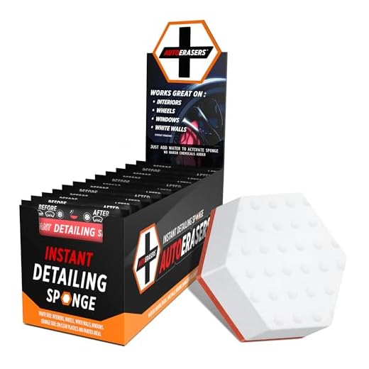 Portable Auto Cleaning Sponge Set of 12