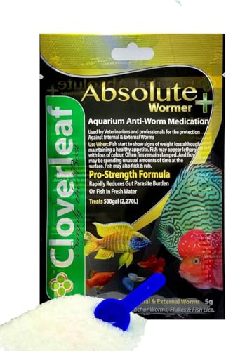 Absolute Wormer Fish Parasite Treatment 20g