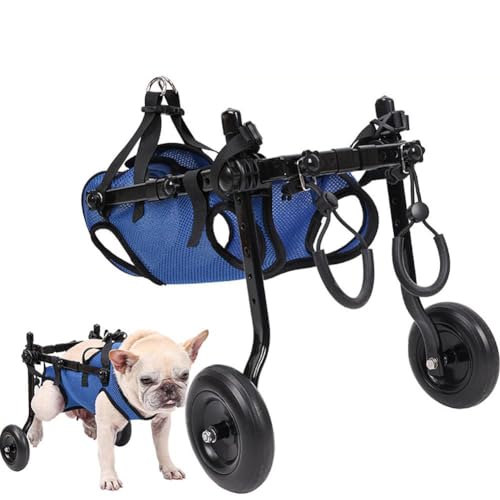 Fgbetcv Kleine Räder für Hinterbeine, Behinderte, leichte Spaziergänge, Rehabilitation, Haustier-Trolley, Hunde-Beinbandage und Hüftstütze, Mobilitätshilfe für behinderte Haustiere