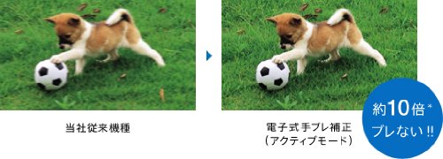 Amazon.co.jp: SONY HDビデオカメラ Handycam PJ210 ブラック