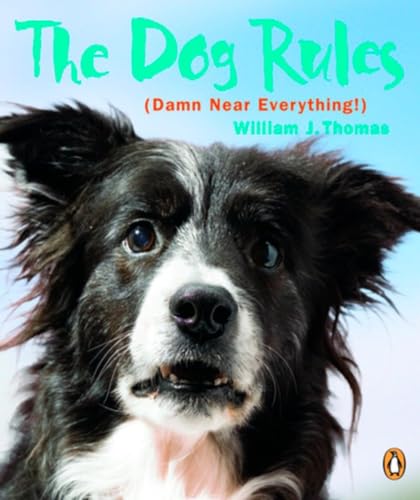 Dog Rules view 2