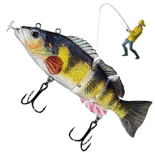 Leurre de pêche automatique pour traquer le bar en mer et en rivière