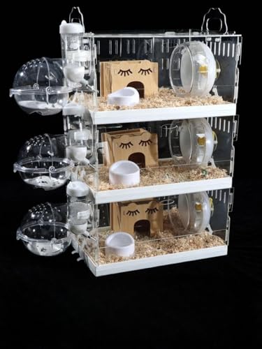 WafitynX^[P[W Eoɂ lXȃX^C̑gݍ킹p\ g ^т₷ g[fUC |₷ ʋCς 3i܂Őςݏdˉ\ ^т₷ GRȃAN SȃANZT (3wMTCYi30