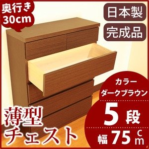 ^`FXg/^[ s30cm 75cm 5i _[NuEؖڒ y{/iz ds-1425100