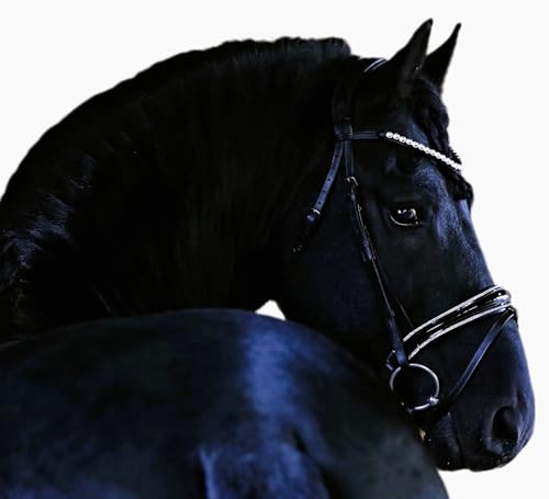 Tysons Breeches Donna Ledertrense Schwedisch Schwarz Glitzer Strass Kristall VB WB XFULL Lederzaum Trense Leder Glitzertrense (XX Full)