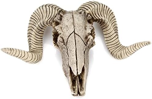 MBVBN Ram Skull and Horns Baphomet Wall Trophy Decor,Resin Skull Sheep Head Wall Sculpture, Ram Sheep Skull Decor Animal Skull Skeleton Head Sculpture Wall Hanging Art Collectible Decor A