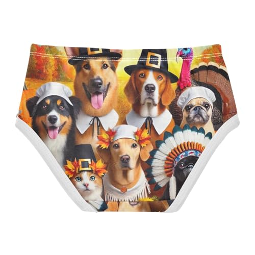 Cute Autumn Farm Animals Girls Underwear Toddlers 2t Cotton Panties Little Girl Florals Kids Undies Briefs2