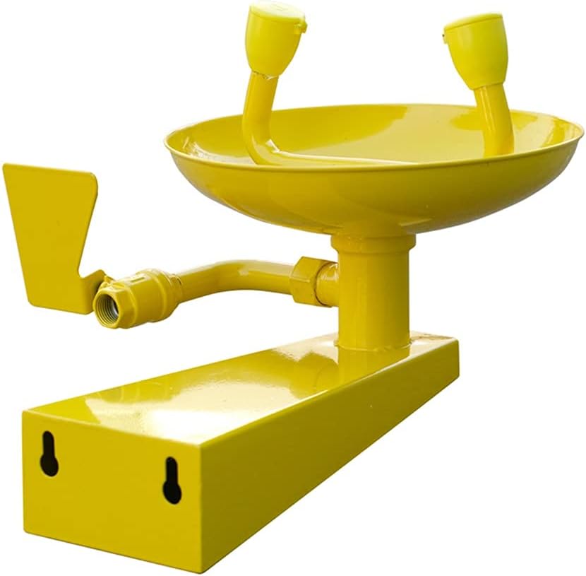 Emergency Eyewash Station, Double Spray Nozzles Wall Mounted Eye/Face Washing Device for Building Industries