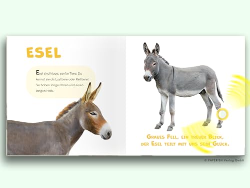 Mach mal PIEPZ® - Tiere auf dem Bauernhof: Entdecke die Welt mit kindgerechten Sounds | Soundbuch für Kinder ab 12 Monaten