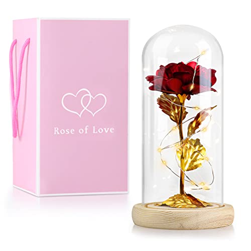 Fowecelt Ewige Rose im Glas: Die Schöne und Das Biest Rose, LED Rose in Glaskuppel mit Licht, Künstliche Blumen Rose Geschenke für Frauen Mama Valentinstag Geburtstag Hochzeitstag Cover