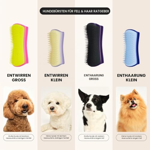 Tangle Teezer Pet Teezer Fellpflegebürste für kleine Hunde – Hundebürste für Trocken- oder Badegebrauch – Die perfekte Bürste für Hunde – Dunkelblau & Hellblau